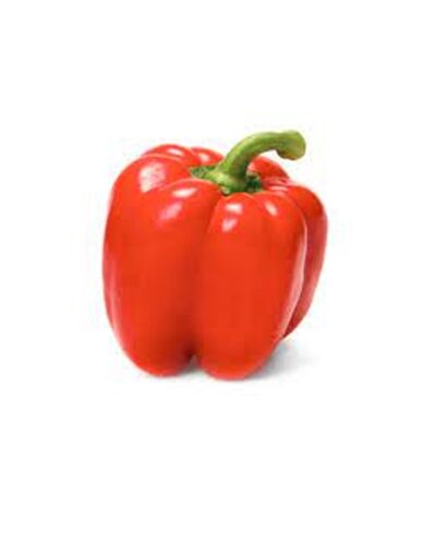 Red Capsicum