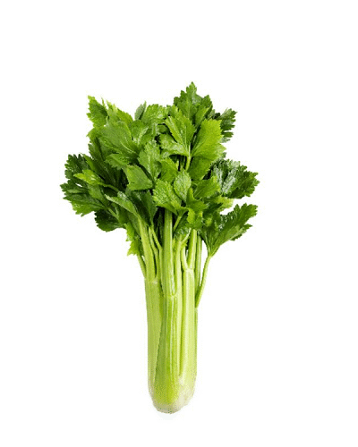 Celery