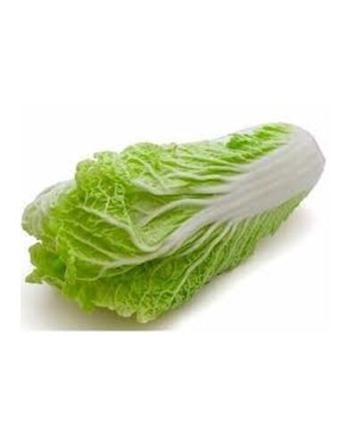 Chinese Cabbage