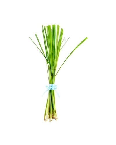 Lemon Grass