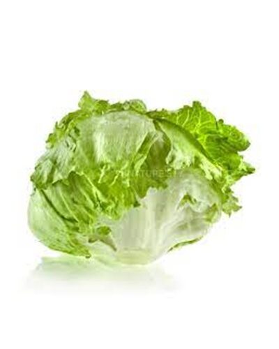 Lettuce Iceberg