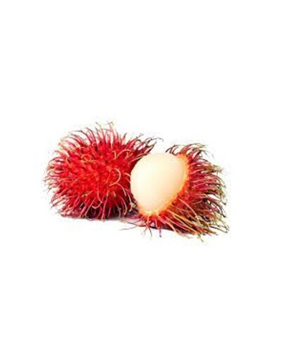 Rambutan Litchi