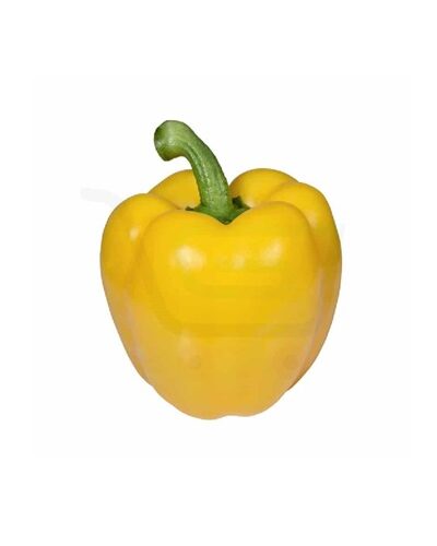 Yellow Capsicum