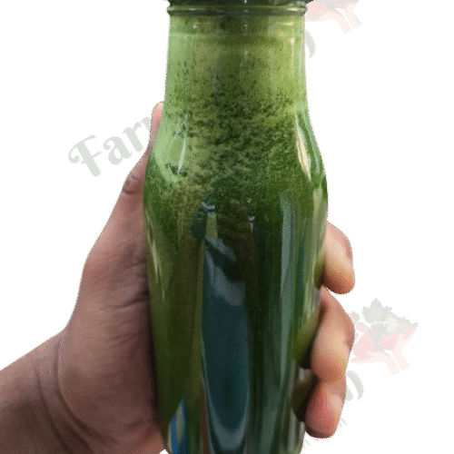 Green Vitality Blend Juice