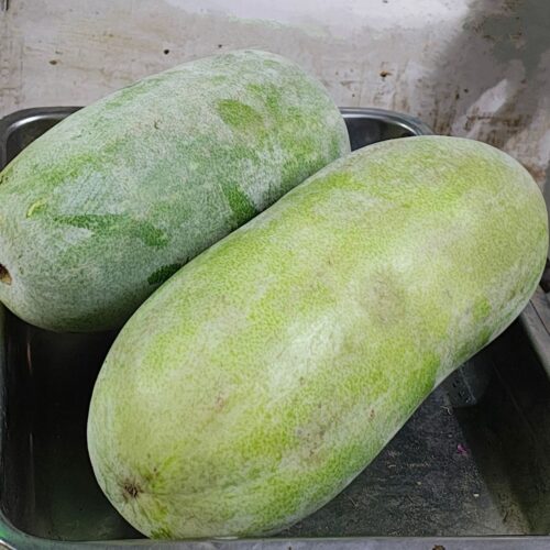 Ash Gourd ( Kerala )