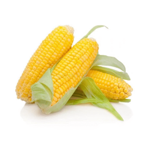 Beby Corn 1 PC