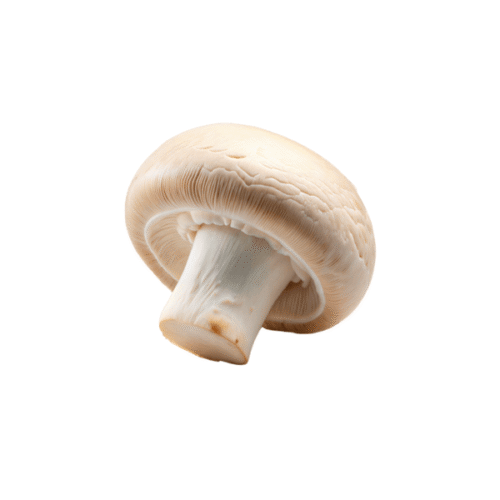 Mashroom 1 PC