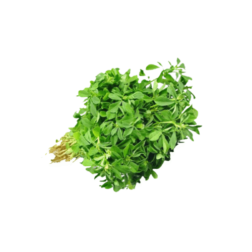 Methi 500 Gram
