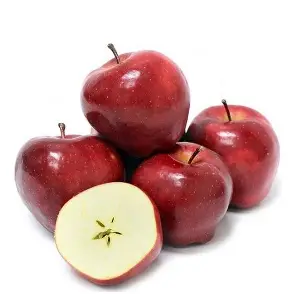 WASHINGTON APPLE