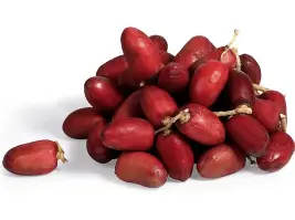 kutch kharek